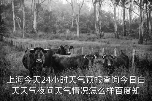 上海今天24小時天氣預(yù)報查詢今日白天天氣夜間天氣情況怎么樣百度知