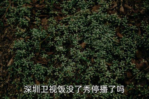 深圳衛視飯沒了秀停播了嗎