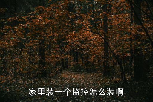家里裝一個(gè)監(jiān)控怎么裝啊