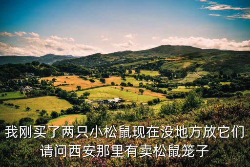 松鼠養殖籠多少錢，松鼠籠大約多少錢