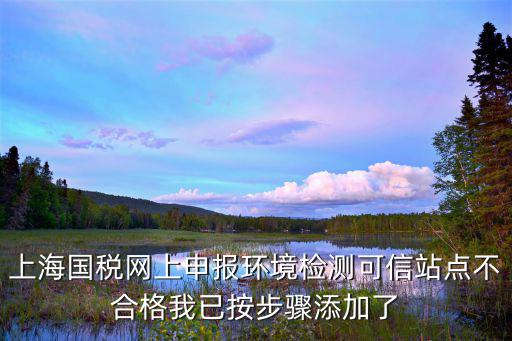 上海國稅網(wǎng)上申報環(huán)境檢測可信站點不合格我已按步驟添加了