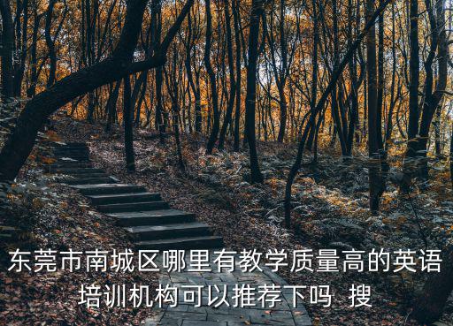 東莞市南城區哪里有教學質量高的英語培訓機構可以推薦下嗎  搜