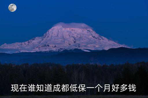 現(xiàn)在誰知道成都低保一個月好多錢