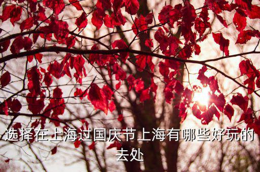 選擇在上海過國慶節(jié)上海有哪些好玩的去處