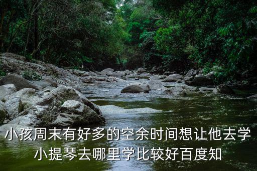 重慶市大足區(qū)小提琴培訓，重慶少兒小提琴培訓哪家好求知情者我想讓小孩學鋼琴