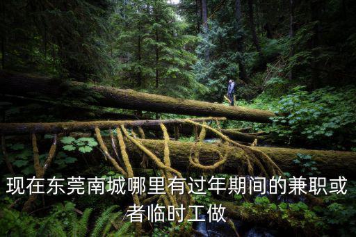 現在東莞南城哪里有過年期間的兼職或者臨時工做