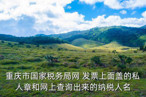 重慶市地稅局副局長徐，重慶渝北區(qū)太陽園屬于哪個地稅局
