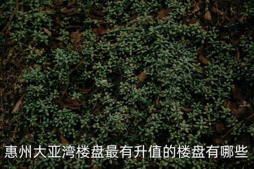 惠州大亞灣樓盤(pán)最有升值的樓盤(pán)有哪些