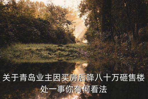 關于青島業主因買房后降八十萬砸售樓處一事你有何看法