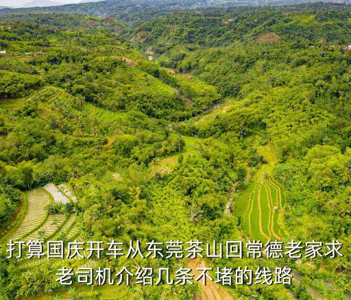 打算國(guó)慶開車從東莞茶山回常德老家求老司機(jī)介紹幾條不堵的線路