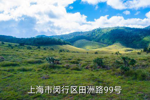 上海市閔行區春聯，上海市閔行區