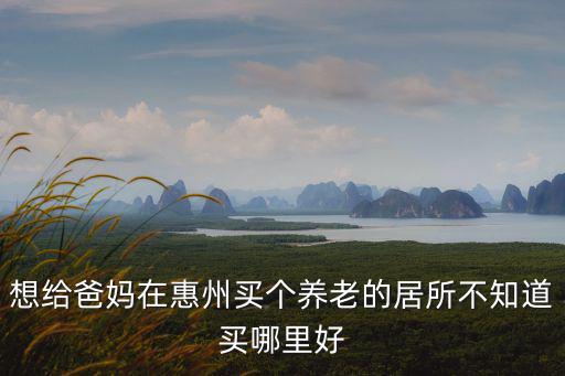 想給爸媽在惠州買個養(yǎng)老的居所不知道買哪里好