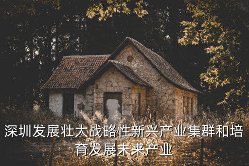深圳發(fā)展壯大戰(zhàn)略性新興產(chǎn)業(yè)集群和培育發(fā)展未來產(chǎn)業(yè)