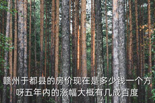 贛州于都縣的房價現在是多少錢一個方呀五年內的漲幅大概有幾成百度