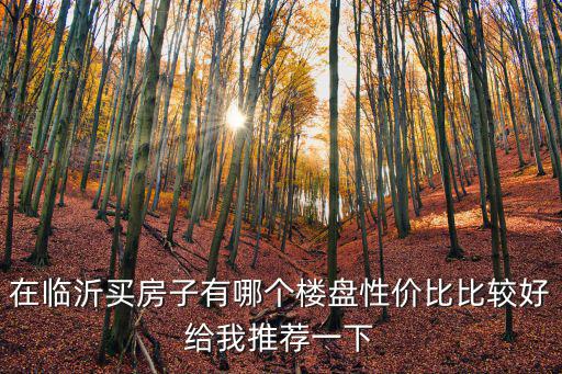 在臨沂買房子有哪個樓盤性價比比較好給我推薦一下