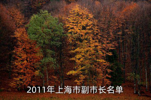 2011年上海市副市長名單