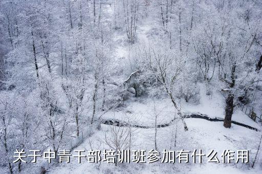 上海市 黨外中青班 2017，陳良的個人簡介