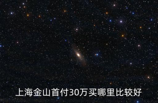 上海金山首付30萬買哪里比較好