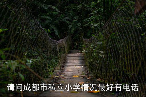 成都市民辦小學招生2019，成都雙林小學已經在招生了嗎
