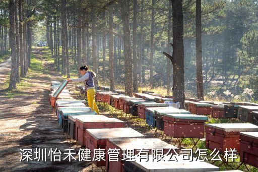 深圳怡禾健康管理有限公司怎么樣