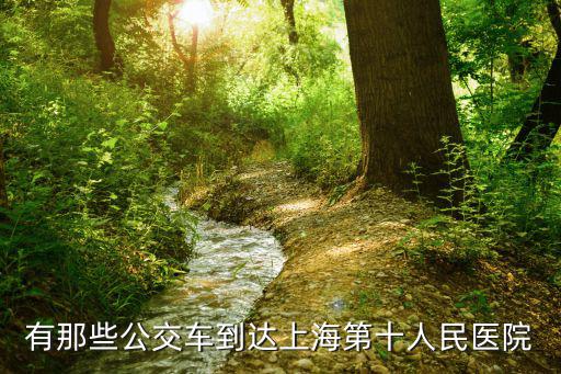 有那些公交車到達(dá)上海第十人民醫(yī)院