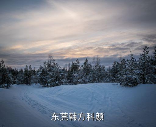 東莞韓方科顏