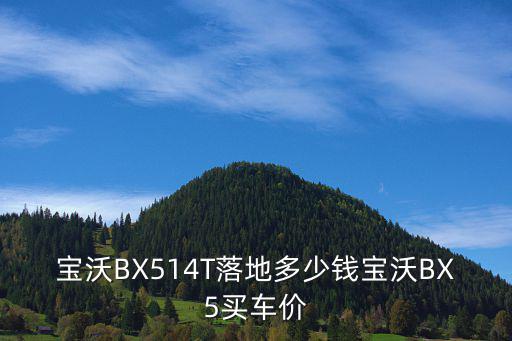 東莞寶沃bx5，寶沃BX52020款自動(dòng)擋落地價(jià)多少寶沃BX5價(jià)格