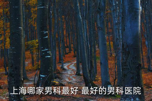 上海哪家男科最好 最好的男科醫(yī)院