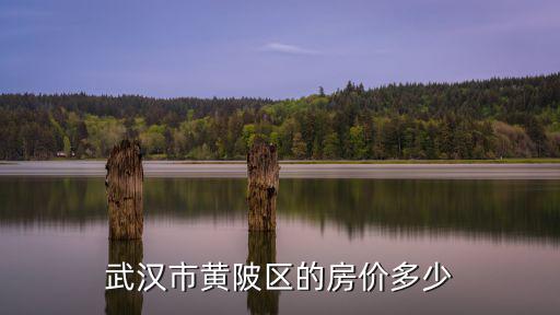 武漢市黃陂區的房價多少
