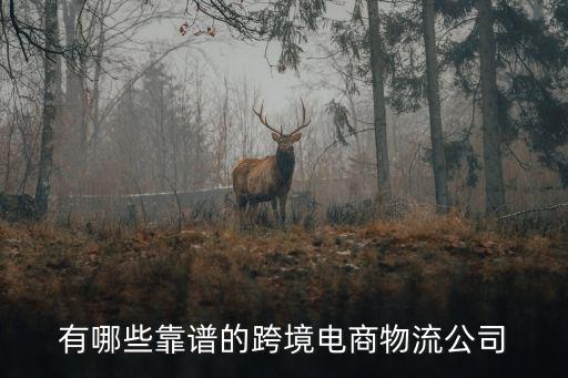 有哪些靠譜的跨境電商物流公司