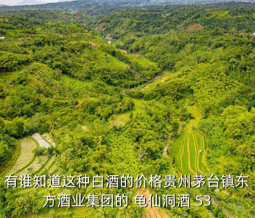 有誰知道這種白酒的價(jià)格貴州茅臺(tái)鎮(zhèn)東方酒業(yè)集團(tuán)的 龜仙洞酒 53