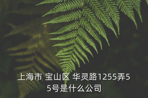 上海市 寶山區 華靈路1255弄55號是什么公司