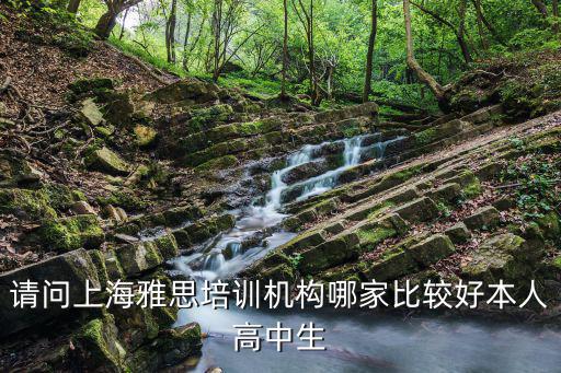 請(qǐng)問(wèn)上海雅思培訓(xùn)機(jī)構(gòu)哪家比較好本人高中生