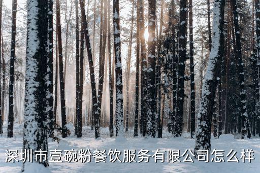 深圳市壹碗粉餐飲服務有限公司怎么樣