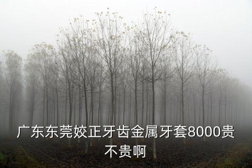 廣東東莞姣正牙齒金屬牙套8000貴不貴啊