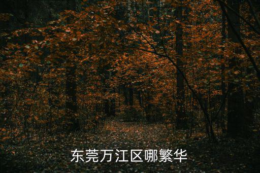 東莞萬江區哪繁華