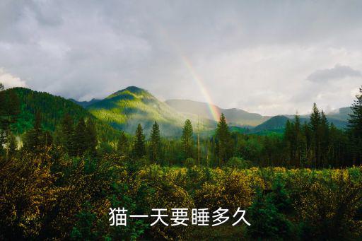 貓每天睡多少小時，貓一天要睡多久