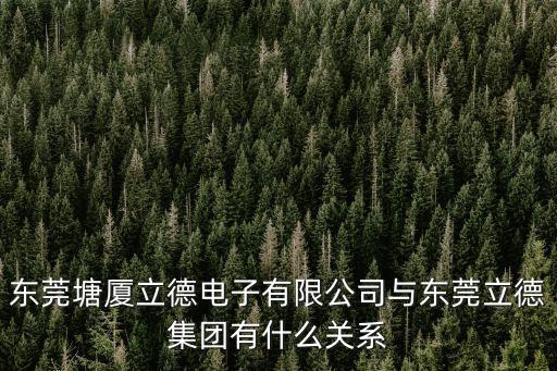 東莞塘廈立德電子有限公司與東莞立德集團(tuán)有什么關(guān)系