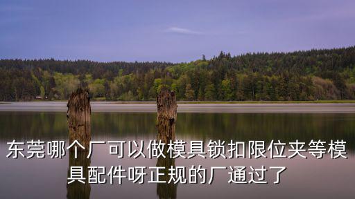 東莞哪個廠可以做模具鎖扣限位夾等模具配件呀正規(guī)的廠通過了