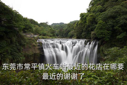 東莞市常平鎮火車站最近的花店在哪要最近的謝謝了
