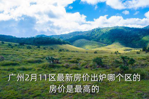 廣州房?jī)r(jià)哪個(gè)區(qū)最貴，廣州哪個(gè)區(qū)的房?jī)r(jià)最高