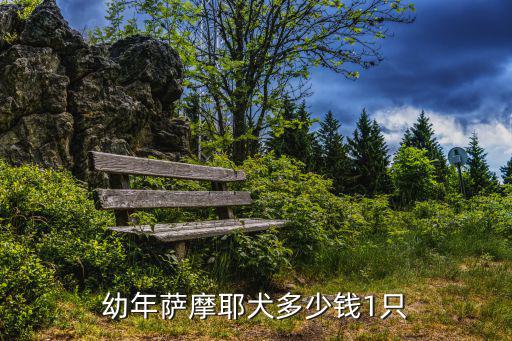 幼年薩摩耶犬多少錢1只