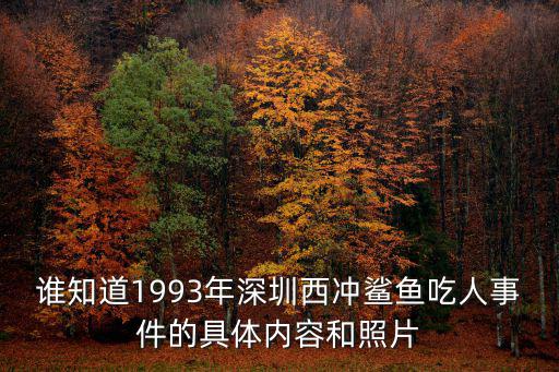 深圳鯊魚數碼，鯊魚數碼通訊可信么