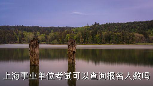 上海市事業單位編制報名人數，上海事業單位考試可以查詢報名人數嗎