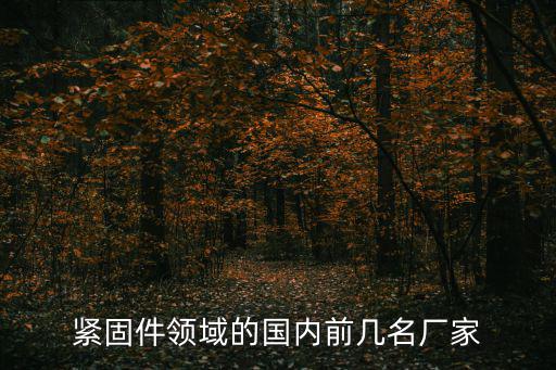 東莞安揚實業(yè)，緊固件領域的國內(nèi)前幾名廠家