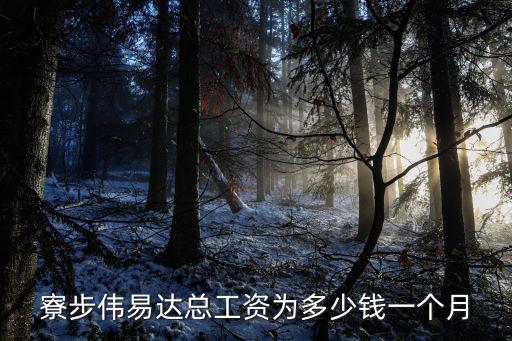 寮步偉易達總工資為多少錢一個月