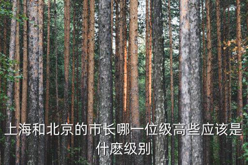 上海和北京的市長哪一位級高些應該是什麼級別