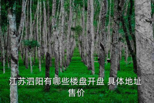 泗陽哪個地段房價好，江蘇泗陽有哪些樓盤開盤 具體地址 售價