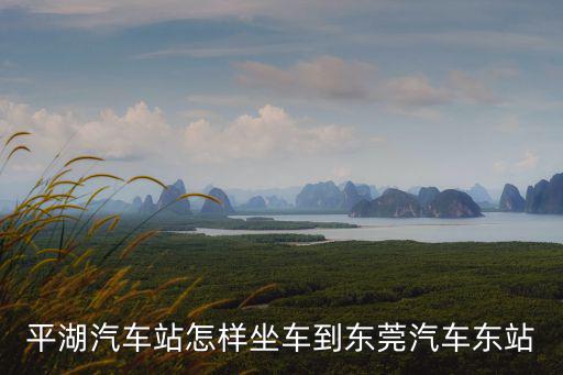 東莞863公交，在東莞鳳崗坐什么車到公明車站
