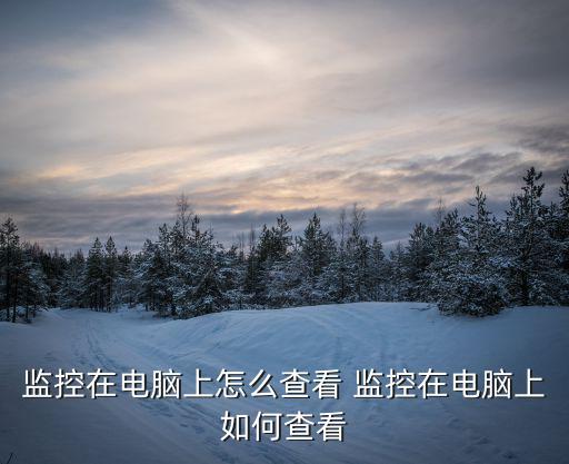 監控在電腦上怎么查看 監控在電腦上如何查看